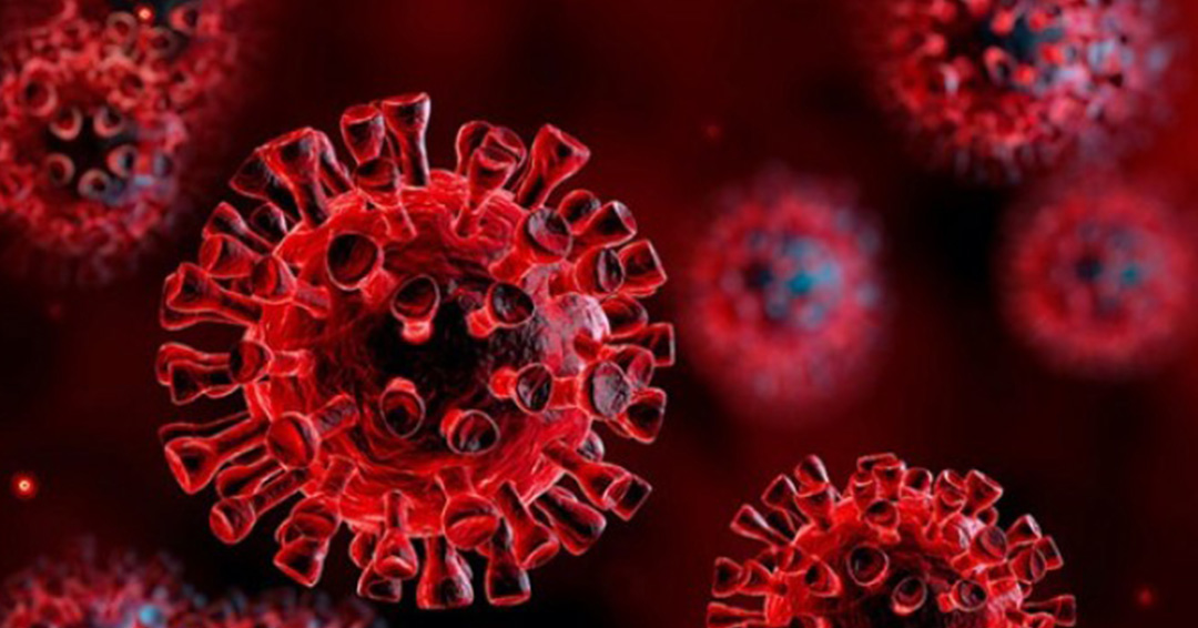 COVID-19 Updates: 15 new COVID-19 Cases Confirmed, Total now 522