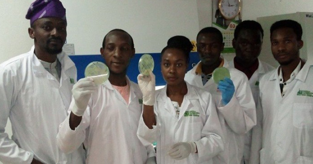 Milestone Alert: KIU Taking the Lead in Phage Research