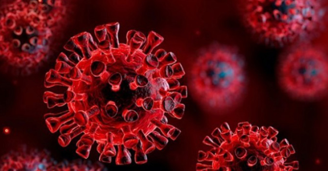 COVID-19 updates: 19 new Cases as Alerts Continue to Rise