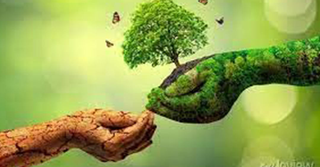 KIU Western Campus Faculty of Education to Commemorate Tree Conservation Day
