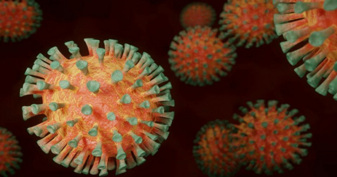 One New Coronavirus Case Confirmed, Bringing Total to 55