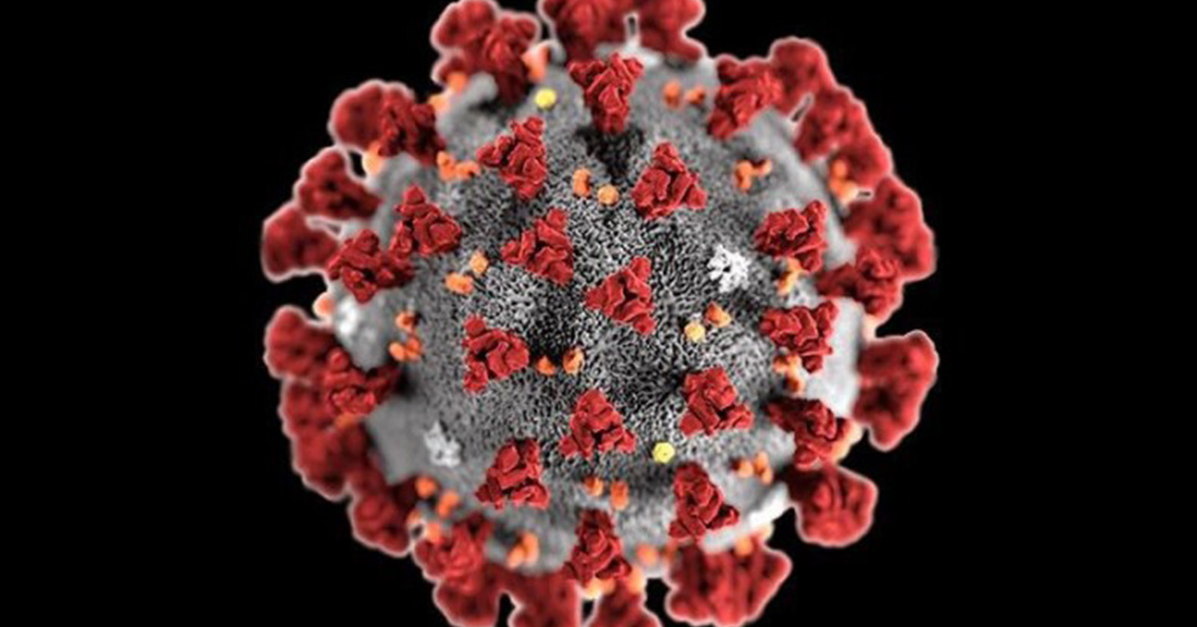 Fighting Coronavirus Together: Eradication of Smallpox by World Health Organisation Holds Lessons for Overcoming COVID-19