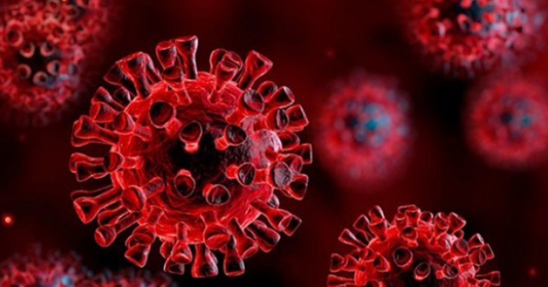 COVID-19 Updates: 10 new Cases Confirmed on Tests Done on August 5
