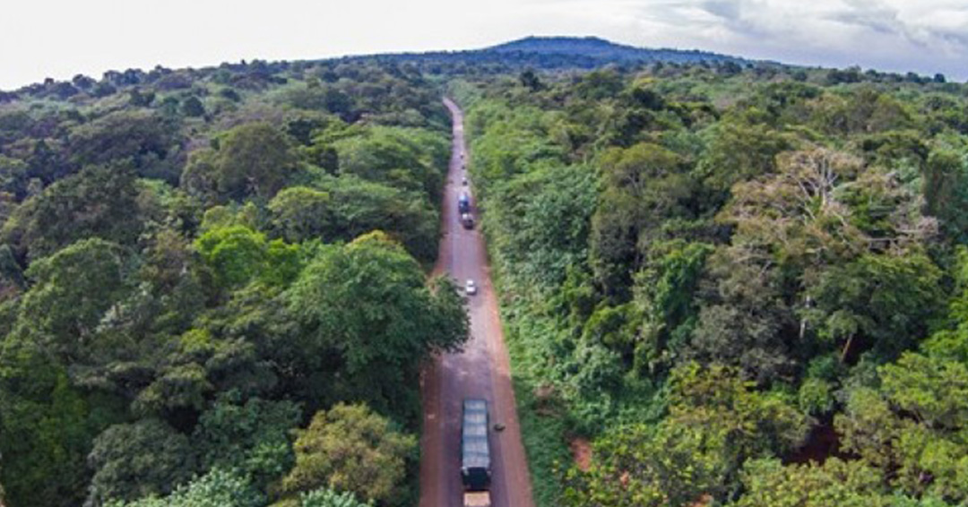 National Tree Planting Day 2021: The Status of Forests in Uganda