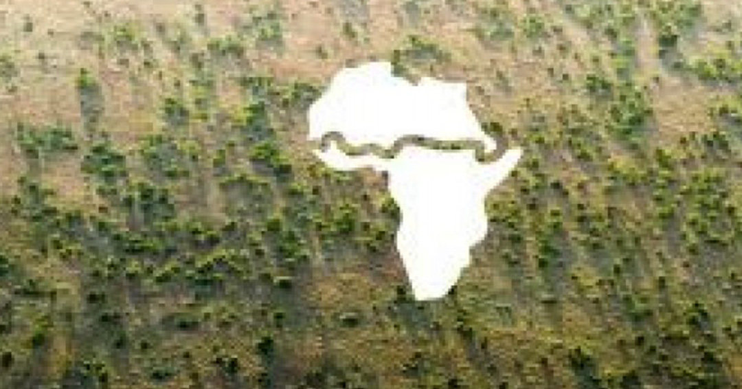 KIU International Desk: The Great Green Wall Project