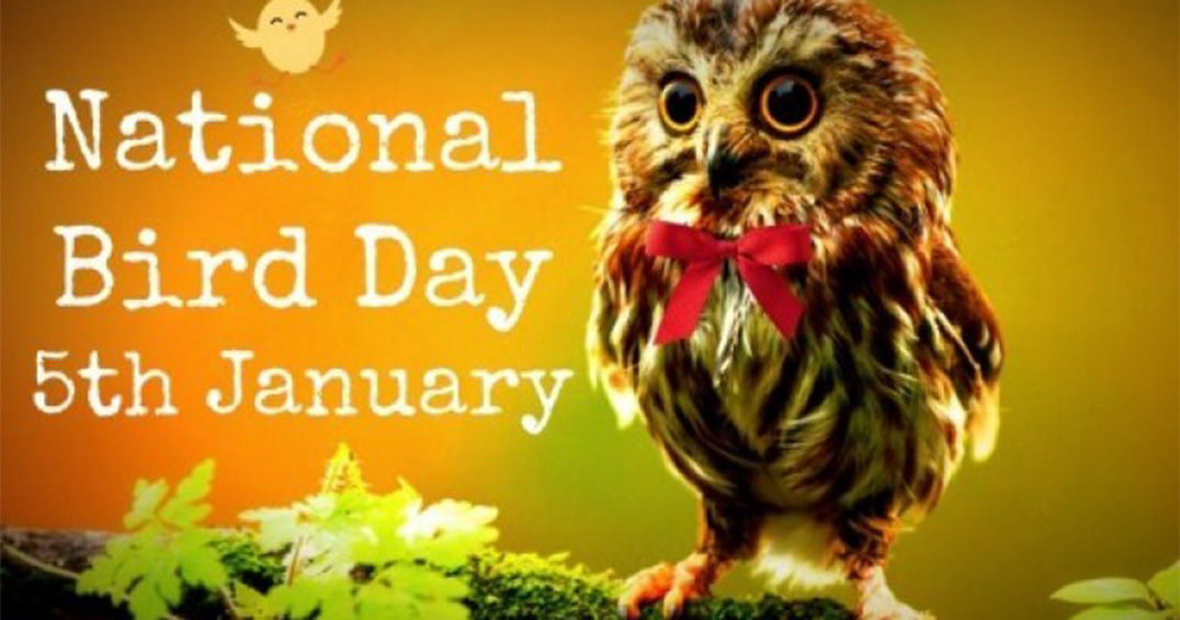 KIU Trivia: January 5 in the Present and the Past