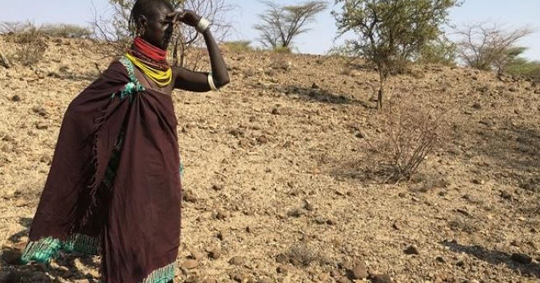 World Environment Day 2020: Are Recent Events a Rebellion From the Environment?