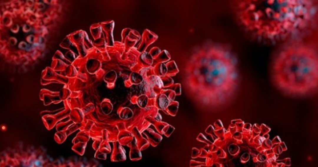 COVID-19 Updates: 13 new Cases Confirmed as Another Person From Greater Bushenyi Tests Positive