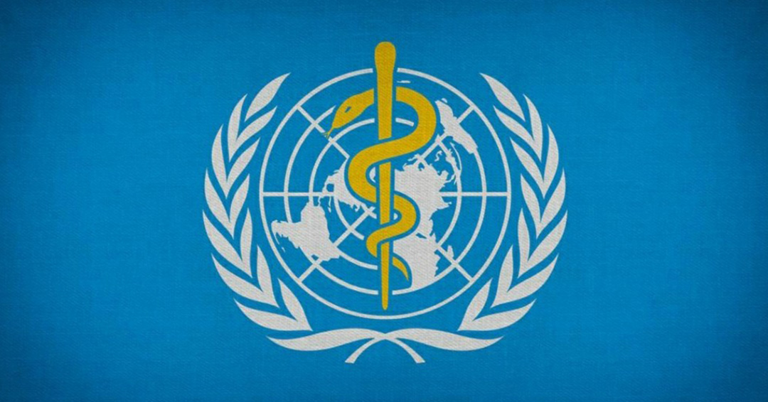 Fighting Coronavirus Together: Did You Know About the World Health Organization Real-Time Information Platform Via WhatsApp?