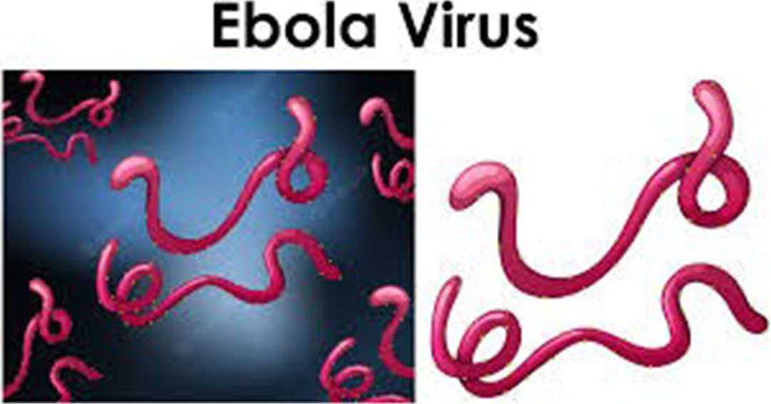 KIU Western Campus Ramps up Ebola Prevention Measures