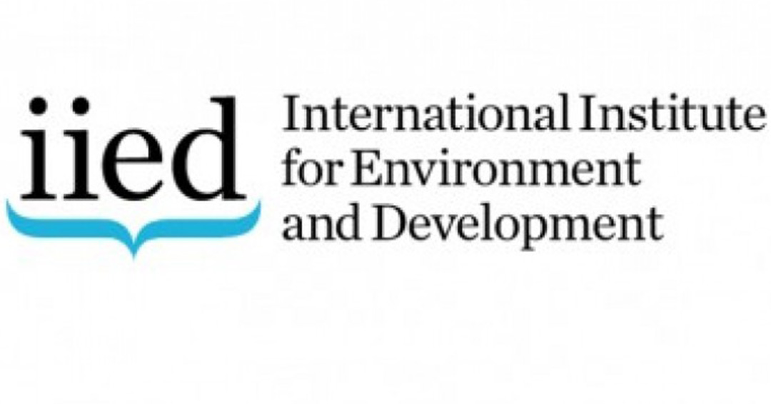 KIU International Desk: Experts Propose Debt Swaps to Address Climate Change in Developing Countries