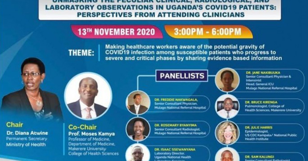 Fighting Coronavirus Together: Ministry of Health PS to Chair COVID-19 Webinar on November 13