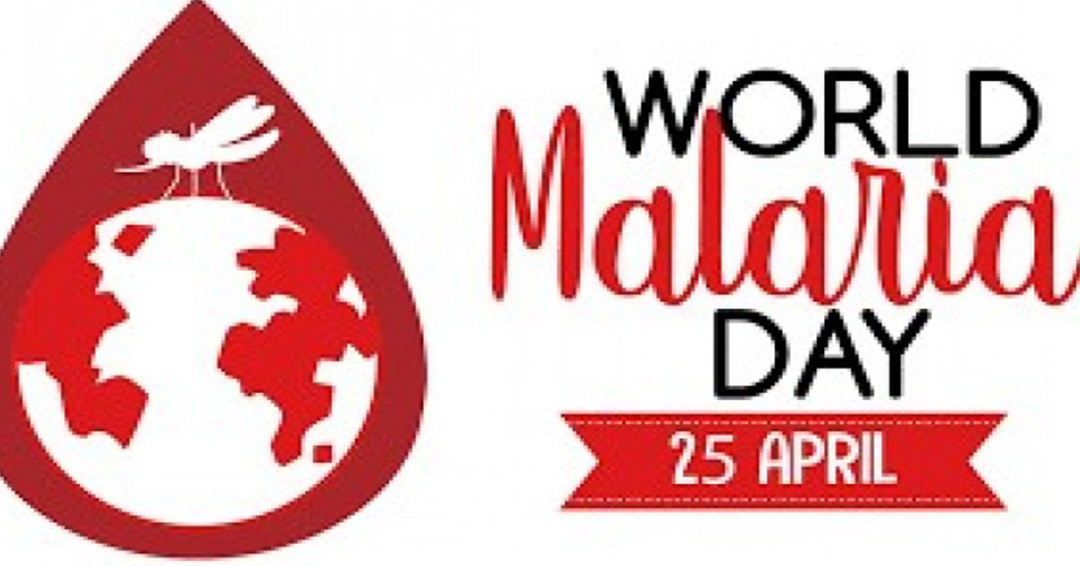 Ministry of Health Holds Virtual Discussion on Malaria Control to Celebrate World Malaria Day