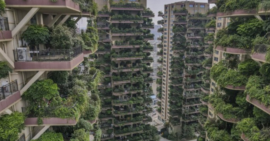 Chinese city Welcomes 'Vertical Forest' in Concrete Jungle