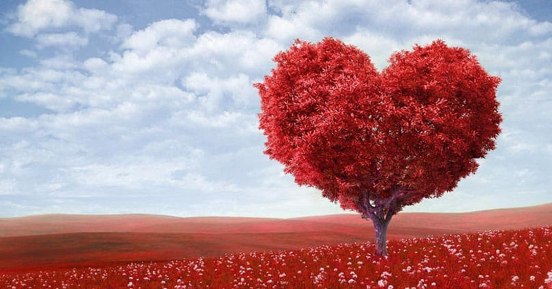 KIU Lifestyle Segment: All About Valentine's Day