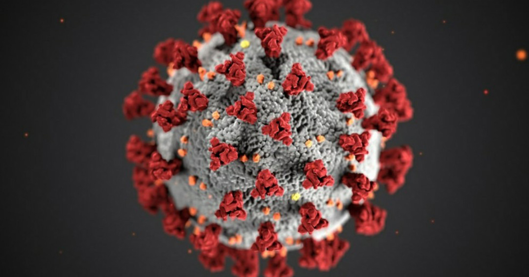 COVID-19 Updates: Coronavirus Cases in Uganda Rise to 81 With Two More Confirmed Positive