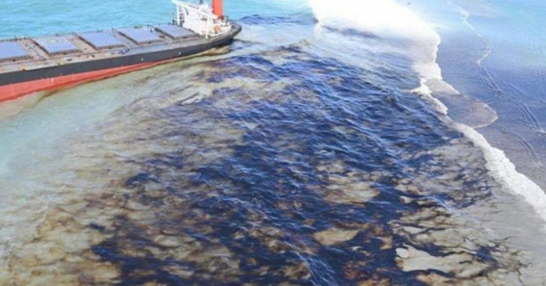 KIU International Desk: Second Japanese Team in Mauritius to Clean Mangroves Damaged by Oil Spill