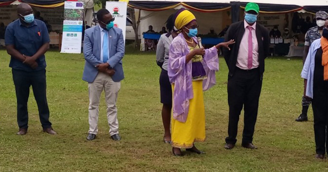 KIU Pharmacy Students Want to Make Their Botanical Garden a Learning Center for Local Herbalists